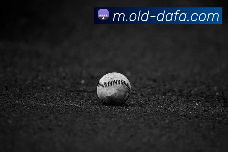 大发彩票APP 封面图